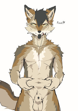 animal_genitalia anthro belly_folds black_body black_fur black_hair black_nose black_tongue blep fur genitals hair holding_belly male orange_eyes penis penis_tip profanity sheath standing tan_body tan_fur text tongue tongue_out white_body white_fur yellow_body yellow_fur kanto05 onebadfurry canid canine fox mammal english_text hi_res