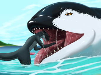 anthro anthro_on_feral beach bestiality black_arms black_body black_tail bodily_fluids cum cum_in_mouth cum_inside duo feral feral_pred genital_fluids genitals male oral oral_vore orange_eyes penis saliva sea tail vore water white_body tallion aquatic cetacean dolphin kobold mammal oceanic_dolphin orca scalie toothed_whale 2026 alternate_version_at_paywall