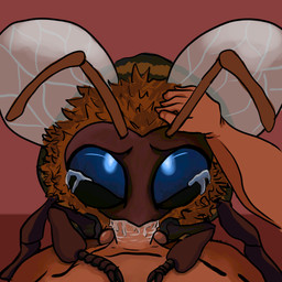 ambiguous_feral ambiguous_gender ambiguous_on_top ambiguous_penetrated antennae_(anatomy) arthropod_abdomen balls bestiality big_penis blue_eyes bodily_fluids dripping duo erection fellatio feral feral_penetrated first_person_view genitals hand_on_head hexapod human_on_feral human_penetrating human_penetrating_feral interspecies looking_at_viewer looking_up looking_up_at_viewer lying lying_on_ground male male/ambiguous male_human male_on_bottom male_penetrating male_penetrating_ambiguous membrane_(anatomy) membranous_wings on_back on_bottom on_ground on_top oral penetration penile penis penis_in_mouth questionable_consent ruff saliva saliva_drip saliva_on_penis segmented_legs sex tears thick_penis wings unknown_artist bee_simulator beescuit_(bee_simulator) arthropod bee human hymenopteran insect mammal 1:1 2026 hi_res