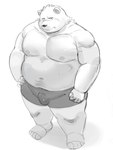 anthro bulge clothing humanoid_hands kemono male moobs nipples overweight overweight_male simple_background solo underwear white_background sv_grart bear mammal 2023 hi_res