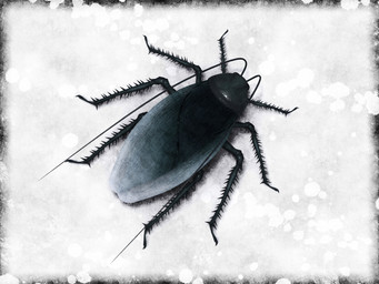 8_limbs ambiguous_gender antennae_(anatomy) black_body feral multi_limb simple_background solo textured_background white_background deino_(artist) arthropod blattodea cockroach insect 2010 3d_(artwork) 4:3 autodesk_3ds_max_(artwork) digital_media_(artwork) monochrome