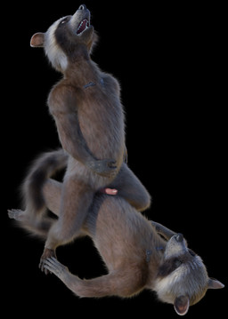 anthro balls clone duo fur genitals male male/male nude penis rasterraccoon disney guardians_of_the_galaxy marvel rocket_raccoon mammal procyonid raccoon 3d_(artwork) digital_media_(artwork) hi_res