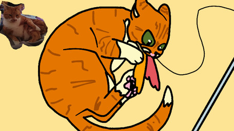 feral fur green_eyes lying male on_side orange_body orange_fur playing pole solo string tail toony toy anon_noodles domestic_cat felid feline felis mammal photography_(artwork) reference_image