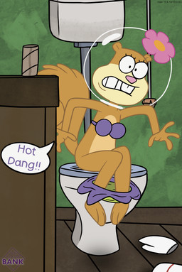 accent anthro bathroom bikini bikini_bottom bikini_top clothed clothing female floor on_model panties panties_down partially_clothed pooping pooping_in_toilet sitting sitting_on_toilet solo southern southern_accent swimwear texas toilet toilet_paper toilet_use two-piece_swimsuit underwear underwear_down wood wood_floor thedispenser69 nickelodeon spongebob_squarepants sandy_cheeks mammal rodent sciurid tree_squirrel absurd_res hi_res