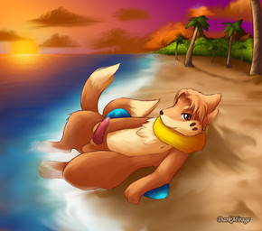 balls beach bodily_fluids cloud cum detailed_background erection feet genital_fluids genitals hindpaw lying male nude nude_beach outside paws penis precum sea seaside sky solo sunset tail water darkmirage nintendo pokemon fan_character buizel generation_4_pokemon mammal mustelid pokemon_(species)