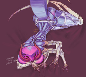 antennae_(anatomy) anthro arthropod_abdomen cerci_(anatomy) clothed clothing compound_eyes exoskeleton female lace legwear lingerie mandibles multi_arm multi_eye multi_limb ocellis partially_clothed pink_face presenting purple_body solo thick_thighs thigh_highs sun_bug scolopendra_girl_(sun_bug) arthropod centipede myriapod scolopendra absurd_res hi_res