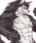 abs anthro biceps black_nose brown_body brown_fur chest_tuft facial_scar fangs fist fur hair long_hair male multicolored_body multicolored_fur muscular muscular_anthro muscular_male nude raised_arm raised_fist raised_hand scar simple_background solo teeth tuft two_tone_body two_tone_fur white_background white_body white_fur wounded yellow_eyes nimominimum sega shining_(sega) shining_force shining_tears rouen_(shining) canid canine canis mammal wolf 5:6