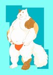 anthro asian_clothing belly big_belly brown_body clothing east_asian_clothing eyes_closed fundoshi humanoid_hands japanese_clothing kemono male moobs navel nipples overweight overweight_male solo underwear white_body morino8484 domestic_cat felid feline felis mammal 2022 hi_res