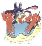 ambiguous_gender anthro black_body black_fur blue_body blue_fur fur lying on_back pawpads paws simple_background solo white_background sikai nintendo pokemon generation_4_pokemon lucario pokemon_(species)