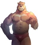 anthro black_nose brown_body brown_fur clothing fur male muscular muscular_anthro muscular_male navel nipples red_clothing red_underwear simple_background slightly_chubby solo underwear white_background neumokun bear mammal 2022 absurd_res hi_res