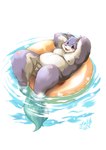 anthro balls belly big_belly blush flaccid genitals kemono lying male moobs nipples overweight overweight_male penis solo water young inuiookawa canid canine mammal 2011