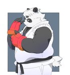 anthro black_body black_nose clothed clothing cosplay eyewear glasses humanoid_hands kemono male overweight overweight_male solo white_body inunoshippo capcom street_fighter vtuber sasayama_akira bear giant_panda mammal 2022 hi_res