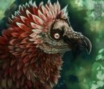 ambiguous_gender beak feathers feral red_sclera side_view solo white_eyes mongrelist accipitrid accipitriform avian bearded_vulture bird old_world_vulture vulture 2019 digital_media_(artwork) digital_painting_(artwork) headshot_portrait portrait