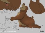 animal_genitalia anthro balls bodily_fluids butt cum fur genital_fluids genitals male nude open_mouth penis sheath simple_background solo tail artietheartbull bear mammal absurd_res digital_media_(artwork) hi_res