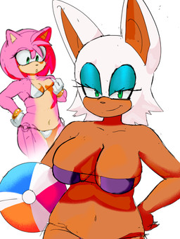 anthro big_breasts bikini breast_envy breasts clothing comparing comparing_breasts curvy_figure duo eyepatch_bikini female medium_breasts swimwear two-piece_swimsuit rad.ickly sega sonic_the_hedgehog_(series) amy_rose rouge_the_bat bat eulipotyphlan hedgehog mammal 3:4 absurd_res hi_res