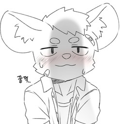 adolescent anthro band-aid band-aid_on_face bandage bandage_on_face big_penis blush blush_lines bodily_fluids clothed clothing collared_shirt duo genitals imminent_oral imminent_sex kemono looking_at_another looking_up_at_partner male male/male offscreen_character penis penis_shadow shirt simple_background sweat sweatdrop text topwear young young_anthro young_male bingsu_19 hyena mammal spotted_hyena 1:1 hi_res korean_text