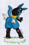 absurd_res anthro anus backsack balls big_balls big_butt blue_balls blue_body blue_butt blue_fur blush butt butt_grab butt_slap canid canine canis disembodied_hand duo embarrassed fur generation_4_pokemon genitals hand_on_butt hi_res jackal lucario male mammal nintendo open_mouth pokemon pokemon_(species) ringed_eyes rotten_owl simple_background slap solo_focus spanking spikes surprised_expression traditional_media_(artwork) white_background yellow_body yellow_fur