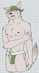 2024 5_fingers anthro biped black_claws black_eyes blush bodily_fluids body_hair brown_nipples brown_nose bulge canid canine chardonnay_romancia checkered checkered_background claws clothed clothing digital_drawing_(artwork) digital_media_(artwork) fingers fox fur green_clothing green_hat green_headwear green_jockstrap green_underwear hand_on_arm happy_trail hat headgear headwear hi_res jockstrap kerchief looking_aside male male_anthro mammal multicolored_clothing multicolored_underwear nervous nervous_sweat nipples one_ear_up open_mouth partially_clothed partially_clothed_male pattern_background portrait rudolf_concard simple_background slim solo standing sweat sweatdrop tail tan_tail three-quarter_portrait underwear unsafescapewolf white_background white_body white_fur white_sclera