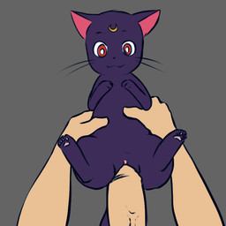 a_cat_is_fine_too abdominal_bulge animated aogami bestiality cat cum cum_in_pussy cum_inflation cum_inside cute duo erection excessive_cum faceless_male feline female feral first_person_view human human_on_feral inflation interspecies looking_at_viewer luna_(sailor_moon) male male/female mammal nude penetration penis plain_background sailor_moon sex size_difference vaginal vaginal_penetration
Rating: Explicit
Score: 58
User: Coliser
Date: December 30, 2014 a_cat_is_fine_too abdominal_bulge animated aogami bestiality cat cum cum_in_pussy cum_inflation cum_inside cute duo erection excessive_cum faceless_male feline female feral first_person_view human human_on_feral inflation interspecies looking_at_viewer luna_(sailor_moon) male male/female mammal nude penetration penis plain_background sailor_moon sex size_difference vaginal vaginal_penetration
Rating: Explicit
Score: 58
User: Coliser
Date: December 30, 2014