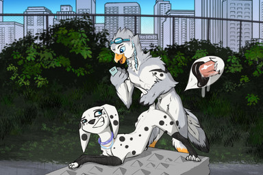 animal_genitalia animal_vulva anthro anthro_on_feral anthro_penetrating anthro_penetrating_feral ass_up beak bestiality bodily_fluids canine_genitalia canine_vulva cellphone duo electronics erection eyewear eyewear_on_head eyewear_only feathers feet female female_feral female_penetrated feral feral_penetrated fingers from_behind_position fur genital_fluids genitals goggles goggles_on_head goggles_only holding_cellphone holding_object holding_phone holding_smartphone holding_tail interspecies looking_back male male/female male_anthro male_penetrating male_penetrating_female markings nude open_beak open_mouth outdoor_nudity outside outside_sex paws penetration penile penile_penetration penis phone plant sex smartphone smile spots standing standing_sex tail tail_feathers toes vaginal vaginal_penetration vulva white_body white_fur zafara_(artist) 101_dalmatian_street 101_dalmatians disney dolly_(101_dalmatians) avian bird canid canine canis dalmatian domestic_dog mammal digital_media_(artwork) hi_res