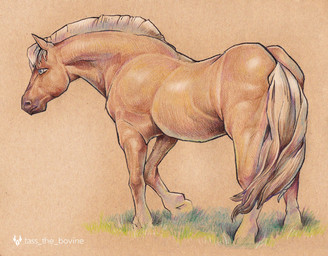 ambiguous_gender brown_body brown_fur feral fur grass hair hooves looking_forward mane mouth_closed plant side_view simple_background solo standing tail text unguligrade white_mane white_tail tass_the_bovine equid equine horse mammal artist_name detailed digital_media_(artwork) full-length_portrait hi_res portrait