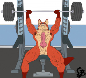 abs animal_genitalia animal_penis anthro armpit_hair balls bench_press biceps big_penis bodily_fluids body_hair canine_genitalia canine_penis erection exercise genitals gym knot male muscular muscular_legs muscular_male nude pecs penis sheath solo sweat vein veiny_muscles weightlifting weights workout goldeyboi disney zootopia nick_wilde canid canine fox mammal red_fox true_fox