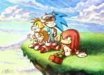 anthro clothing cloud gloves grass group handwear male narrow_hips plant smile thin_calves thin_legs thin_thighs trio suncelia sega sonic_the_hedgehog_(series) knuckles_the_echidna miles_prower sonic_the_hedgehog canid canine echidna eulipotyphlan fox hedgehog mammal monotreme signature