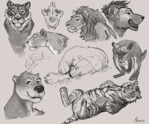 ambiguous_feral ambiguous_gender anthro bone ear_piercing feral gauged_ear lying male male_anthro mouth_closed narrowed_eyes on_back on_side piercing simple_background skull solo chumbasket bear felid kangaroo lion macropod mammal marsupial mustelid otter pantherine tiger 2017 6:5 absurd_res bust_portrait dated hi_res monochrome portrait signature sketch sketch_page