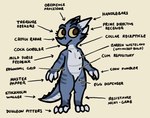 anthro blue_body blue_scales claws diagram female flat_chested horn looking_at_viewer nude scales solo suggestive tail text white_body bizr zahra_(bizr) kobold scalie 2025 aliasing digital_media_(artwork) english_text meme