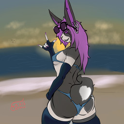 anthro beach bikini blue_clothing blue_underwear clothing female fur grey_body grey_fur handwear heart_(marking) latex latex_clothing latex_handwear latex_legwear legwear magenta_hair markings outside purple_eyes shoreline solo summer swimwear two-piece_swimsuit underwear white_markings wide_hips canis_corpus alyona_(caniscorpus) lagomorph leporid mammal rabbit 1:1 hi_res