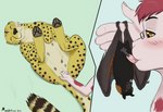 2016 :3 ambiguous_gender animal_genitalia animal_penis anthro anthro_on_feral balls bat bestiality black_body black_fur black_nose black_spots blush bodily_fluids brown_sclera cheetah chiropteran_penis claws countershading cum cum_on_tongue digitigrade disembodied_hand duo ejaculation erection eyes_closed eyewear felid feline female female/ambiguous female_(lore) feral fingering fingering_partner fingernails fur genital_fluids genitals glasses grey_pawpads hair hanging_by_feet hanging_upside_down hi_res interspecies lagomorph larger_ambiguous larger_anthro legs_up leporid licking looking_pleasured lying male male/ambiguous mammal membrane_(anatomy) membranous_wings multiple_images mushbun mushbun_(character) nails on_back oral orange_eyes pawpads penile penis penis_lick pink_hair pussy pussy_juice_on_hand rabbit raised_hand sex simple_background size_difference smaller_feral smaller_male smile split_screen spots tongue tongue_out upside_down vaginal vaginal_fingering vaginal_fluids whisker_spots wing_claws wings yellow_body yellow_fur