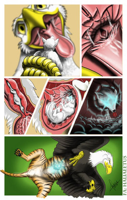 beak feral male male/male soft_vore solo stripes tail vore unknown_artist accipitrid accipitriform avian bird canid canine canis eagle mammal wolf furry comic