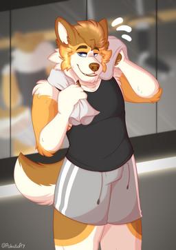 anthro blue_eyes bodily_fluids bottomwear clothing fur looking_at_viewer male mirror multicolored_body multicolored_fur shirt shorts solo sweat tank_top topwear towel pokatofry canid canine canis domestic_dog herding_dog mammal pastoral_dog welsh_corgi absurd_res hi_res