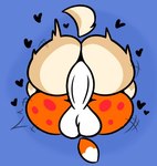 amazon_position anal anthro big_butt butt canid canine canis domestic_dog duo fox fur heart_symbol herding_dog huge_butt male male/male mammal maxxi_(character) maxxivee motion_lines orange_body orange_fur pastoral_dog raised_tail sex simple_background soups_(superiorfox) tail tan_body welsh_corgi