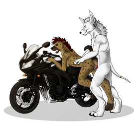 anthro anthro_on_anthro anthro_penetrated anthro_penetrating anthro_penetrating_anthro bent_over brown_body brown_fur duo erection eyes_closed female female_anthro female_penetrated from_behind_position fur genitals grin hair male male/female male_anthro male_penetrating male_penetrating_female motorcycle narrowed_eyes nude penetration penis red_hair red_penis sex short_hair side_view simple_background smile spotted_arms spotted_back spotted_legs standing standing_sex vehicle white_background white_body white_fur white_hair yellow_eyes solaxe_(artist) canid canine hyena mammal