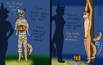 adolescent age_difference anthro bandage bdsm bondage bound casual_exposure casual_nudity clothing dialogue duo erection female flaccid food fruit genitals holidays ineffective_clothing male male/female nude nudist older_female penis plant pumpkin submissive submissive_male young younger_male confusedraven halloween sam_(confusedraven) canid canine canis domestic_dog mammal procyonid raccoon comic hi_res