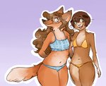 anthro bikini bikini_bottom bikini_top blue_background blue_eyes breasts brown_body brown_fur brown_hair buckteeth clothing duo eyewear female flat_chested fur glasses hair navel open_mouth side-tie_bikini side-tie_clothing side-tie_swimwear simple_background smile string_bikini swimwear teeth triangle_bikini two-piece_swimsuit whiskers danadelions canid canine caviid fox guinea_pig mammal rodent 2017