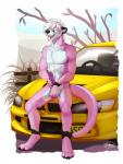 anthro balls biped bodily_fluids car cum erection eyes_closed foreskin fur genital_fluids genitals hair humanoid_genitalia humanoid_penis lancer_evolution male masturbation nude on_hood open_mouth orgasm penile penile_masturbation penis pink_body pink_fur solo tongue tongue_out vehicle f-r95 mitsubishi mitsubishi_lancer jad'thor hybrid mammal mustelid otter 2014 digital_media_(artwork) hi_res