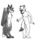 4:5 anthro blush bodily_fluids canid canine canis dipstick_tail dragon duo featureless_crotch fox frontbutt hybrid male mammal markings monochrome multicolored_tail mythological_creature mythological_scalie mythology okami-the-wolf scalie simple_background sweat tail tail_markings what white_background wings wolf