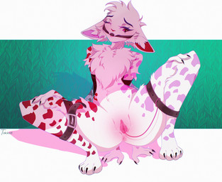 andromorph anthro bdsm bondage bound genitals intersex multi_arm multi_limb nude paws sex_toy solo vibrating vulva tokkot aquatic cephalopod coleoid decapodiform domestic_cat felid feline felis mammal mollusk squid absurd_res hi_res