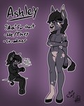 anthro ashley_(erynerikard) black_hair clothing controller electronics featureless_crotch footwear game_controller hair headphones hoodie legwear male markings socks solo spots spotted_body thigh_highs thigh_socks topwear erynerikard asinus donkey equid equine mammal 4:5 digital_drawing_(artwork) digital_media_(artwork) hi_res nonbinary_(lore)