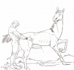 all_fours anal anal_penetration animal_genitalia bestiality cum doggystyle donkey donkey_(character) donkey_(shrek) equine erection eyes_closed feral from_behind furronika gay hooves horse horsecock human interspecies male mammal nude open_mouth penetration penis sex shrek sweat transformed
Rating: Explicit
Score: 12
User: Mai_Lil_Pwny
Date: September 07, 2012