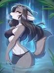 2021 absurd_res anthro bikini black_nose breasts canid canine canis clothing digital_media_(artwork) eyebrows female fensu-san fingers hair hi_res iris_weston long_hair looking_at_viewer mammal open_mouth partially_submerged solo swimwear text url water waterfall wet wolf