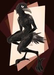 anthro avian_arms avian_legs beak bent_legs digitigrade feathers feet female flat_chested floating hand_on_knee hand_on_leg looking_at_viewer male nude nude_anthro nude_female short_tail short_tail_feathers simple_background sitting slight_smile solo tail tail_feathers talons thin_legs toes the_foxitect avian bird corvid corvus_(genus) crow oscine passerine absurd_res digital_media_(artwork) full-length_portrait hi_res portrait