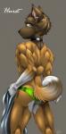 anthro back_muscles biceps biped black_nose bottomwear brown_body brown_fur brown_tail clothed clothing collar ear_piercing fur green_bottomwear green_clothing grey_background looking_at_viewer looking_back male multicolored_body multicolored_fur multicolored_tail muscular muscular_anthro muscular_male piercing simple_background solo speedo standing swimwear tail text topless white_body white_fur white_tail yellow_eyes mokabur hurst akita canid canine canis domestic_dog mammal spitz 2010 character_name digital_media_(artwork) portrait signature three-quarter_portrait