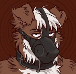 anthro bdsm brown_body brown_fur collar countershading floppy_ears folded_ears fur hair male male_anthro mask muzzle_(object) muzzled purple_eyes short_hair simple_background solo white_body white_countershading white_fur white_hair kotobulka eldridge_moran border_collie canid canine canis collie domestic_dog herding_dog mammal pastoral_dog sheepdog bust_portrait digital_media_(artwork) hi_res icon portrait