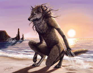 ambiguous_gender anthro beach detailed_background outside realistic rock sand sea seaside sky solo sun sunset tail water yellow_eyes talliesynn mythology canid canine canis mammal mythological_canine mythological_creature werecanid werecanine werecreature werewolf wolf