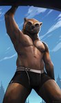 anthro black_nose brown_body brown_eyes brown_fur bulge clothed clothing day detailed_background fur looking_at_viewer male outside sky smile solo standing topless underwear lynncore jay_(jaywolve) gulonine mammal mustelid musteline wolverine 2020 digital_media_(artwork) hi_res