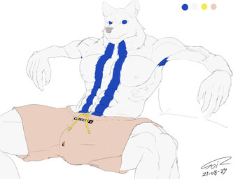 abs anthro armpit_hair big_bulge blue_stripes body_hair bottomwear bulge claws clothing fur furniture khaki_shorts male muscular muscular_male on_sofa pecs shorts sitting sitting_on_sofa sofa solo spread_legs spreading stripes white_body white_fur toir canid canine canis mammal wolf 2025 absurd_res dated hi_res signature unfinished