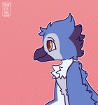 anthro beak blush boop duo feathers female male male/female simple_background tail tail_feathers spookyfoxinc james_(bluepegasi) miya_(bluepegasi) avian bird blue_jay corvid jay_(bird) new_world_jay oscine owl passerine tyto tytonid animated digital_media_(artwork) hi_res short_playtime